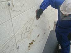 20150402_350_DSCF1005_s