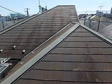 20150507_350_P5070244_s_s