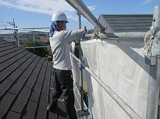 20150513IMG_0268_s_s