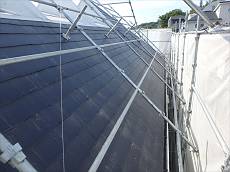 20150601_230_PP6011386_s_s