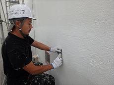 20150605_230_PP6051855_s_s