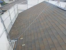 20150608_230_P6082281-s_s