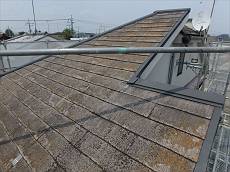 20150615_230_P6150313_s_s