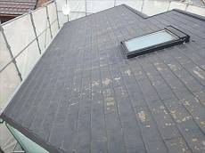 20150616_230_P6160650_s_s