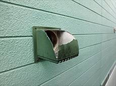 20150616_230_P6160716_s_s