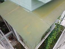 20150616_230_P6160811_s_s