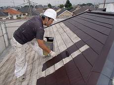 20150617_230_P6170024_s_s