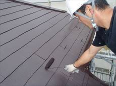 20150618_230_P6180008_s_s