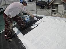 20150620_230_IMG_0112_s_s