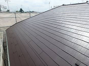 20150623_230_P6231530_s_s_s