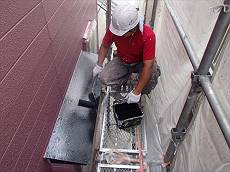 20150625_230_P6250011_s_s