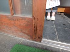 20150724_230_P7240029_s