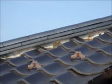 20150727_230_P7270271_s_s