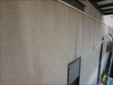 20150727_230_P7270339_s_s