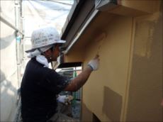 20150801_230_P8010798_s_s