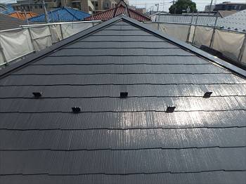 20150801_350_P8010672_s-s