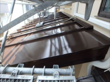 2015080720150925_350_P8070949_s_s