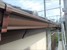 20150808_230_P8081071_s_s