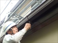 20150808_230_P8081092_s_s