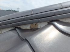 20150810_230_P8101103_s_s