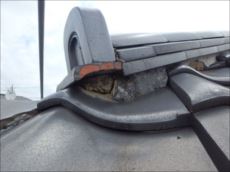 20150810_230_P8101108_s_s