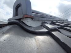 20150811_230_P8111139_s_s