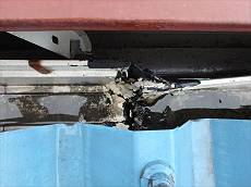 20150817_230_P8171215_s_s