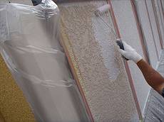 20150824_230_P8240007_s_s