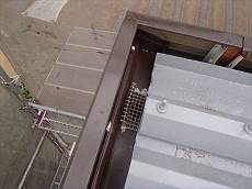 20150825_230_P8230008_s_s