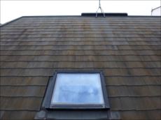 20150901_230_P9011939_s_s