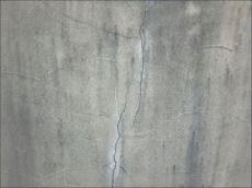 20150901_230_P9012041_s_s