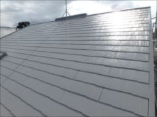 20150914_230_P9140609_s_s