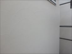 20150914_230_P9140725_s_s