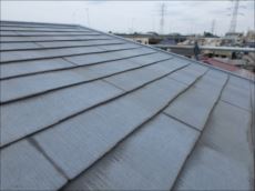 20150916_230_P9160905_s_s