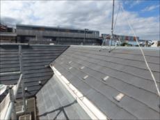 20151002_230_PA020517_s_s