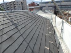 20151002_230_PA020520_s_s