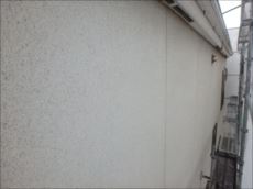 20151002_230_PA020578_s_s