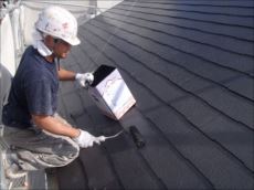 20151006_230_PA060019_s_s