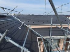 20151009_230_PA091034_s_s