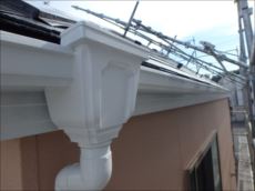 20151009_230_PA091089_s_s