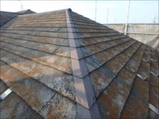 20151020_230_PA202126