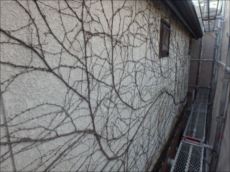 20151020_230_PA202200