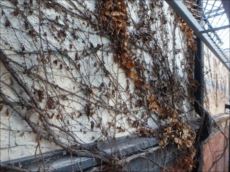 20151020_230_PA202345