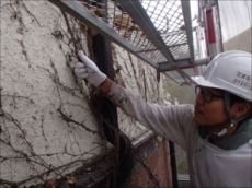 20151021_230_PA210006