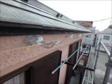 20151021_230_PA210191_s_s