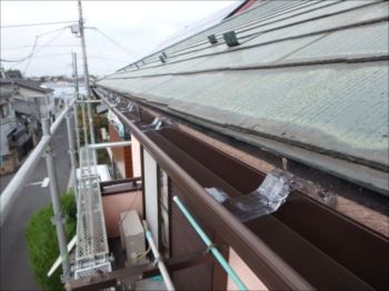 20151023_350_PA230330_s_s