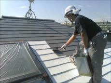 20151027_230_IMG_3551