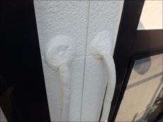 20151030_230_PA301017