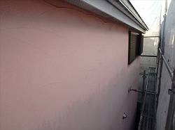 20151105_250_PB051607_s-s-s