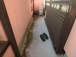 20151105_250_PB051647_s-s-s